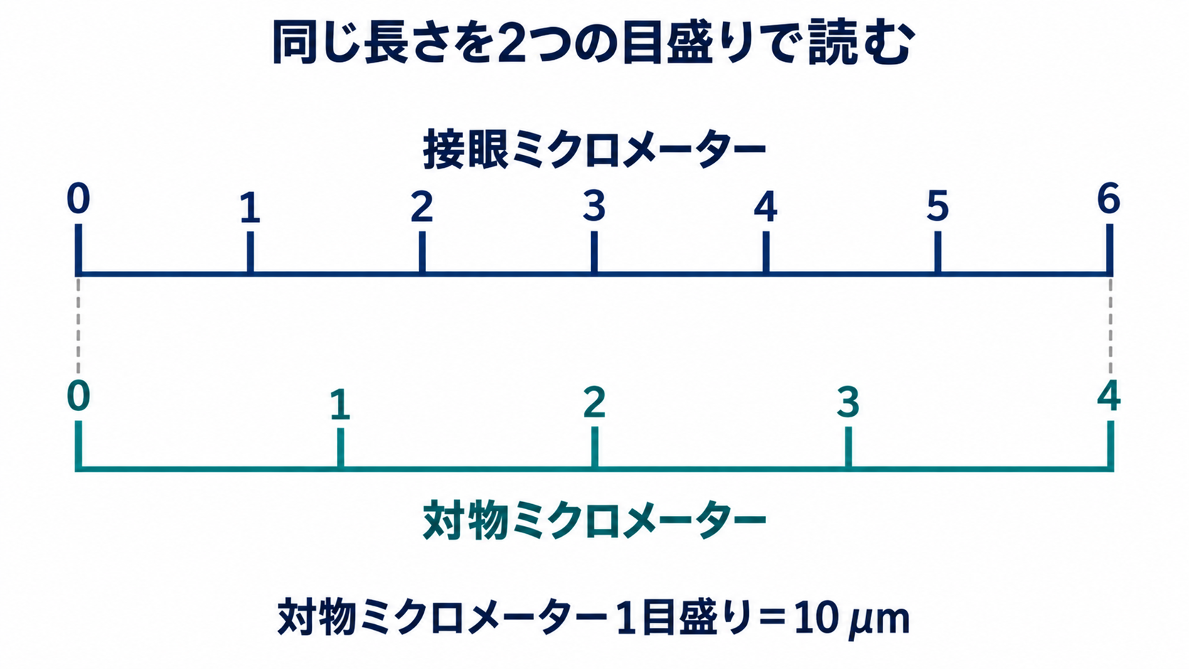 接眼の6目盛り分が対物の4目盛り分に対応する校正図