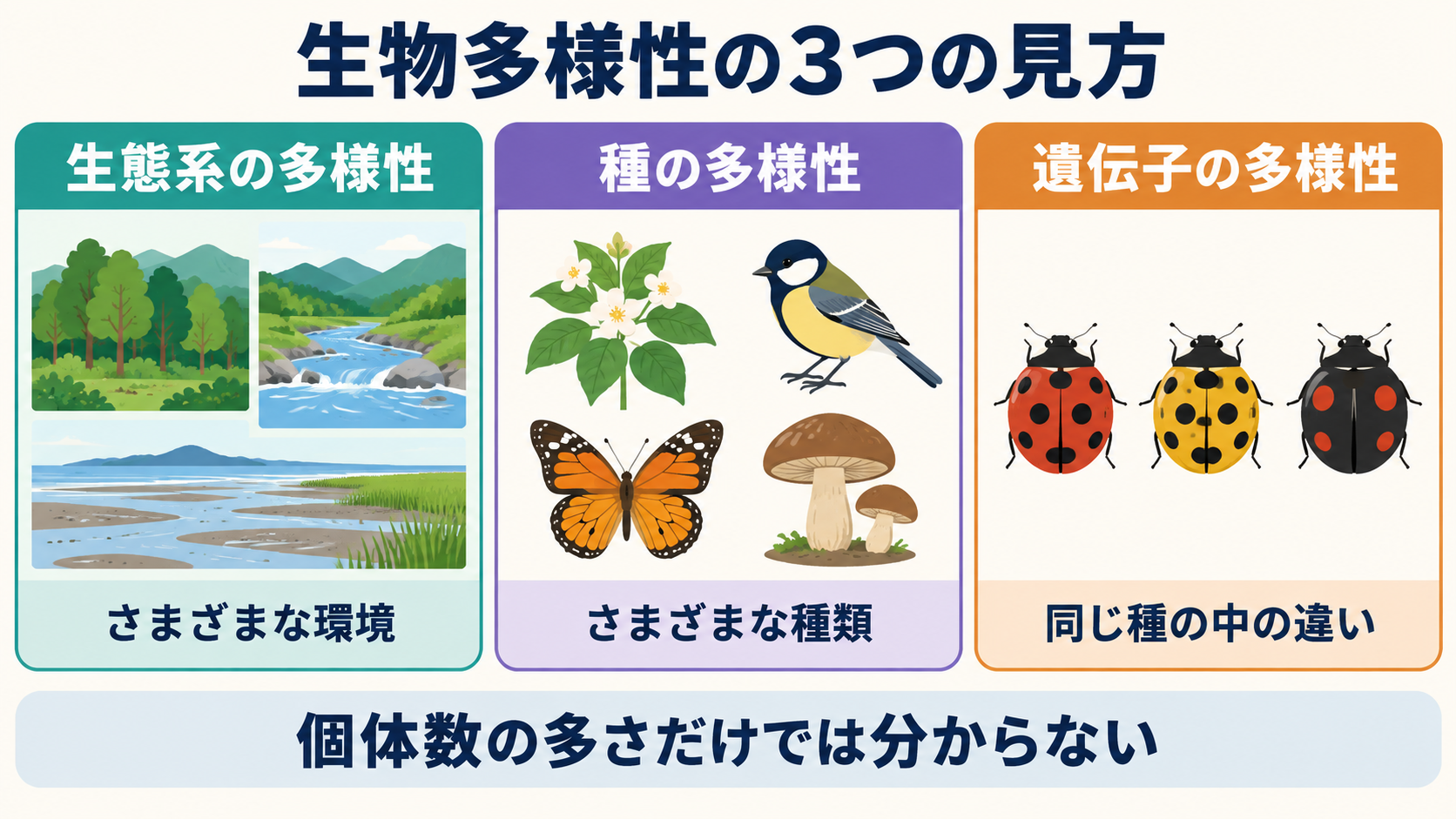 生態系・種・遺伝子という生物多様性の三つの視点を並べた図