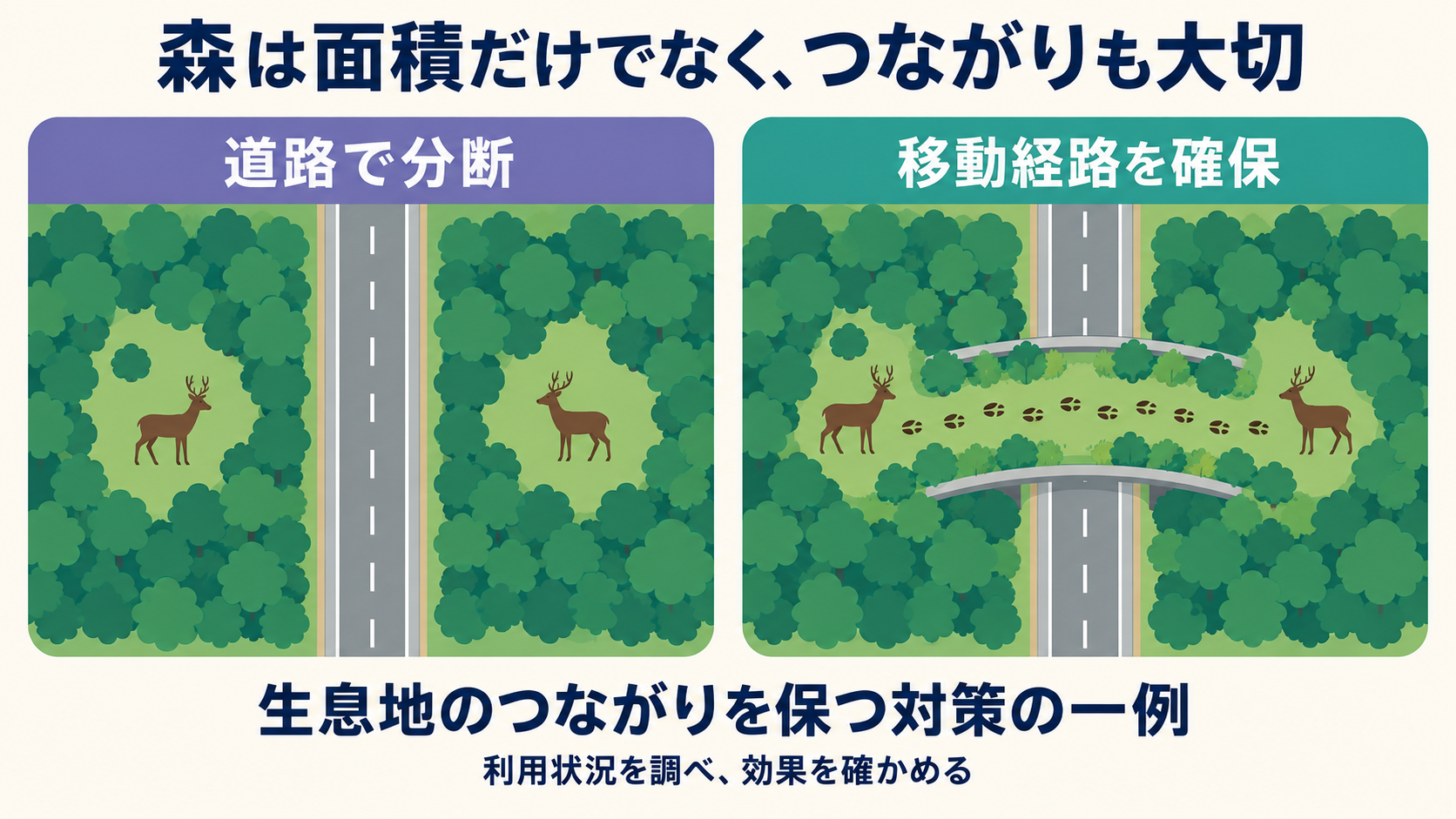 道路によって左右に分断された森林と、植生付きの陸橋で移動経路を設けた森林を比較した図