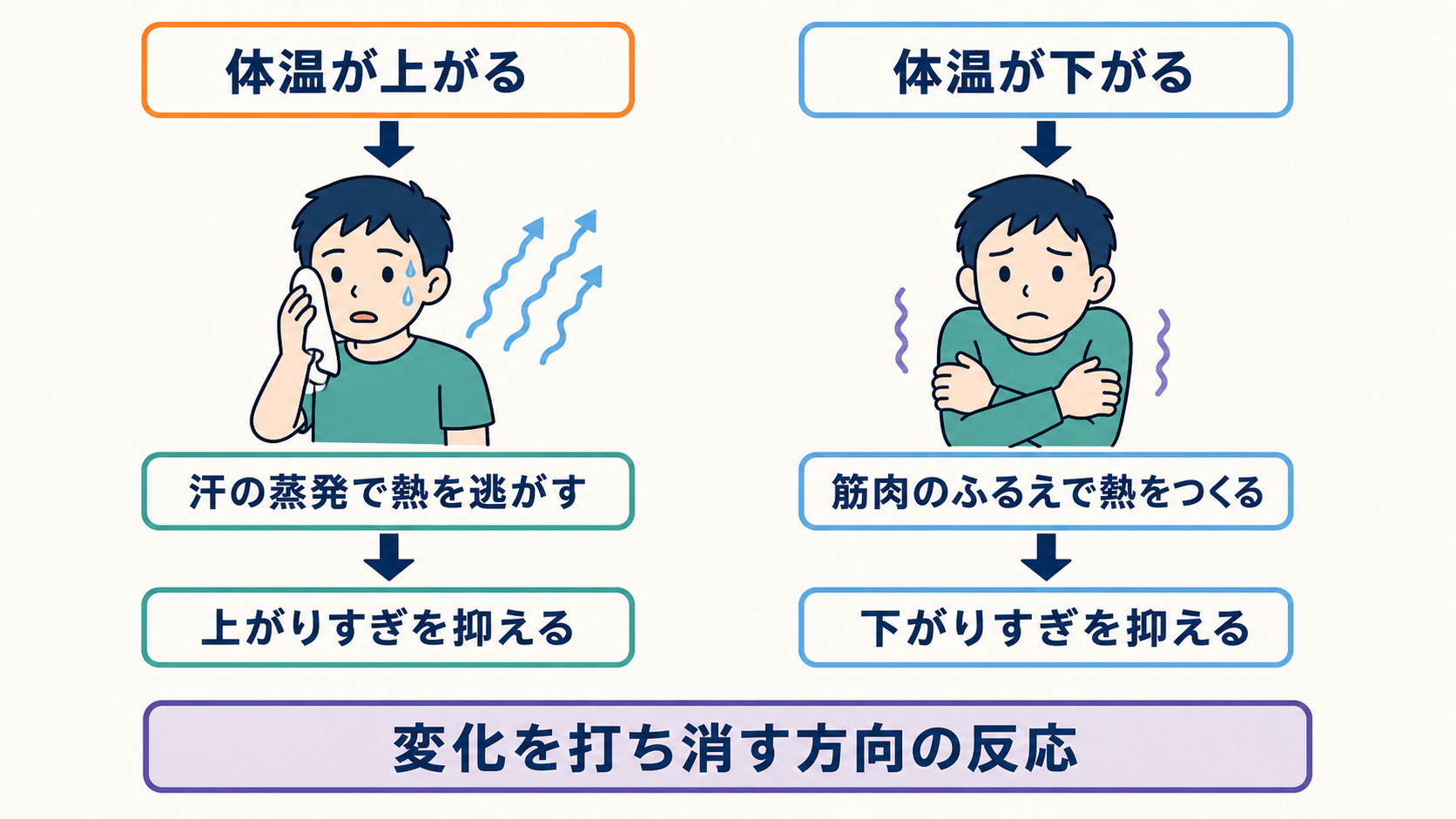体温上昇時の汗の蒸発と、体温低下時の筋肉のふるえを対比した模式図