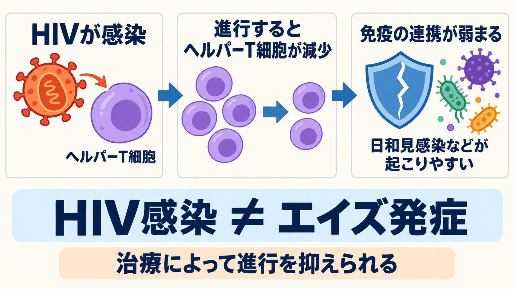HIV感染に伴うヘルパーT細胞の減少が免疫の連携低下につながることと、HIV感染が直ちにエイズ発症を意味しないことを示す図