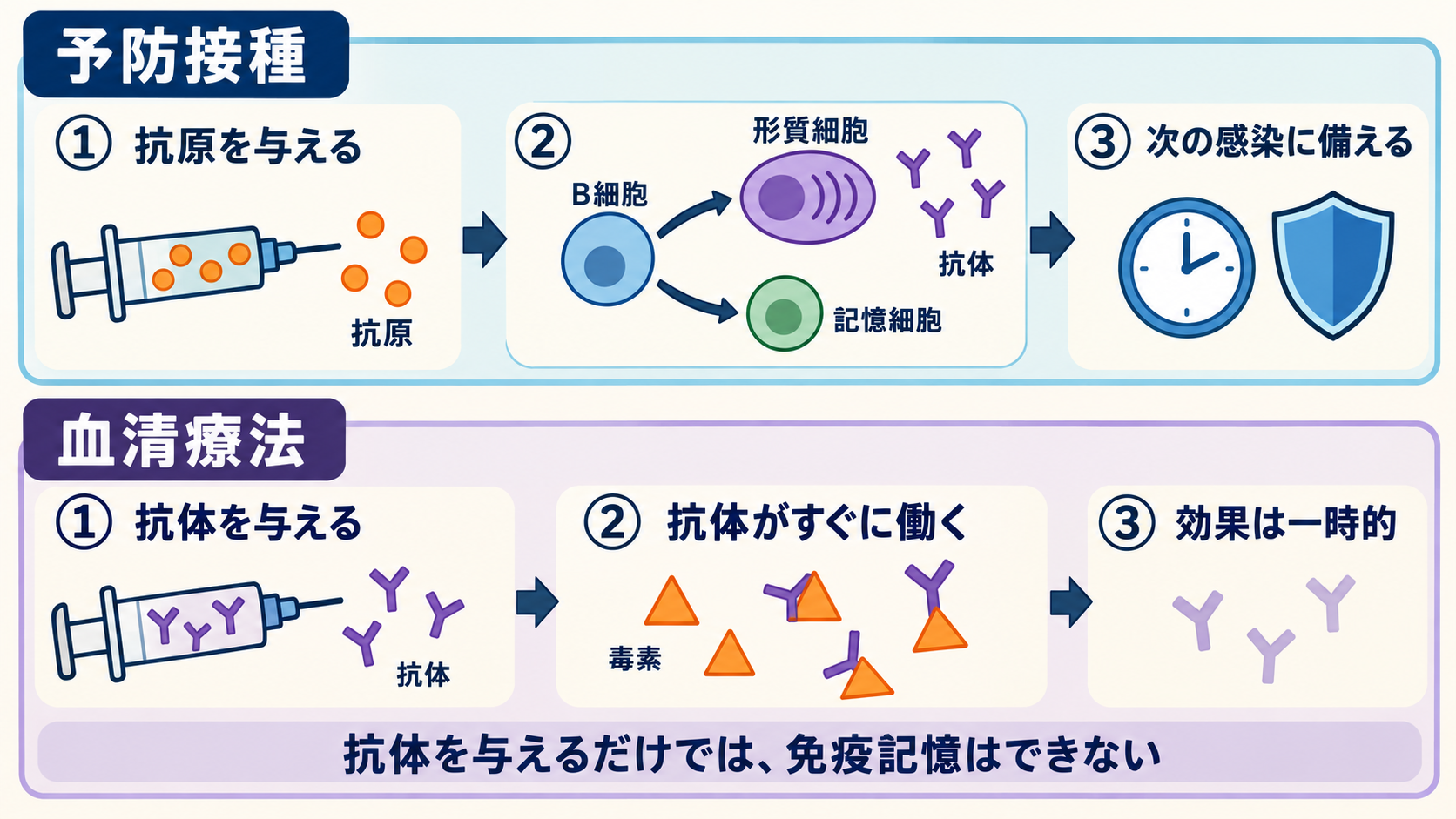 予防接種では抗原への自分自身の免疫応答と記憶細胞形成を促し、血清療法ではできている抗体の一時的な作用を利用する比較図