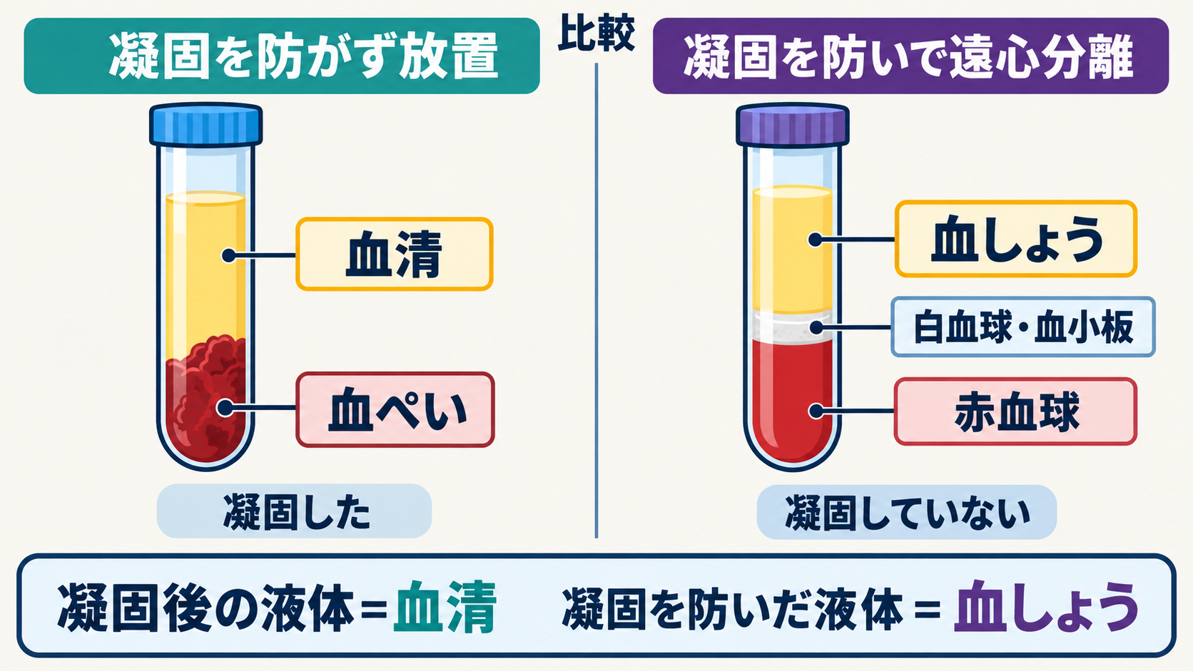 凝固を防ぐ物質を加えずに血液を放置した試験管では血ぺいと血清に分かれ、凝固を防いで遠心分離した試験管では血球成分と血しょうに分かれることを比較した図