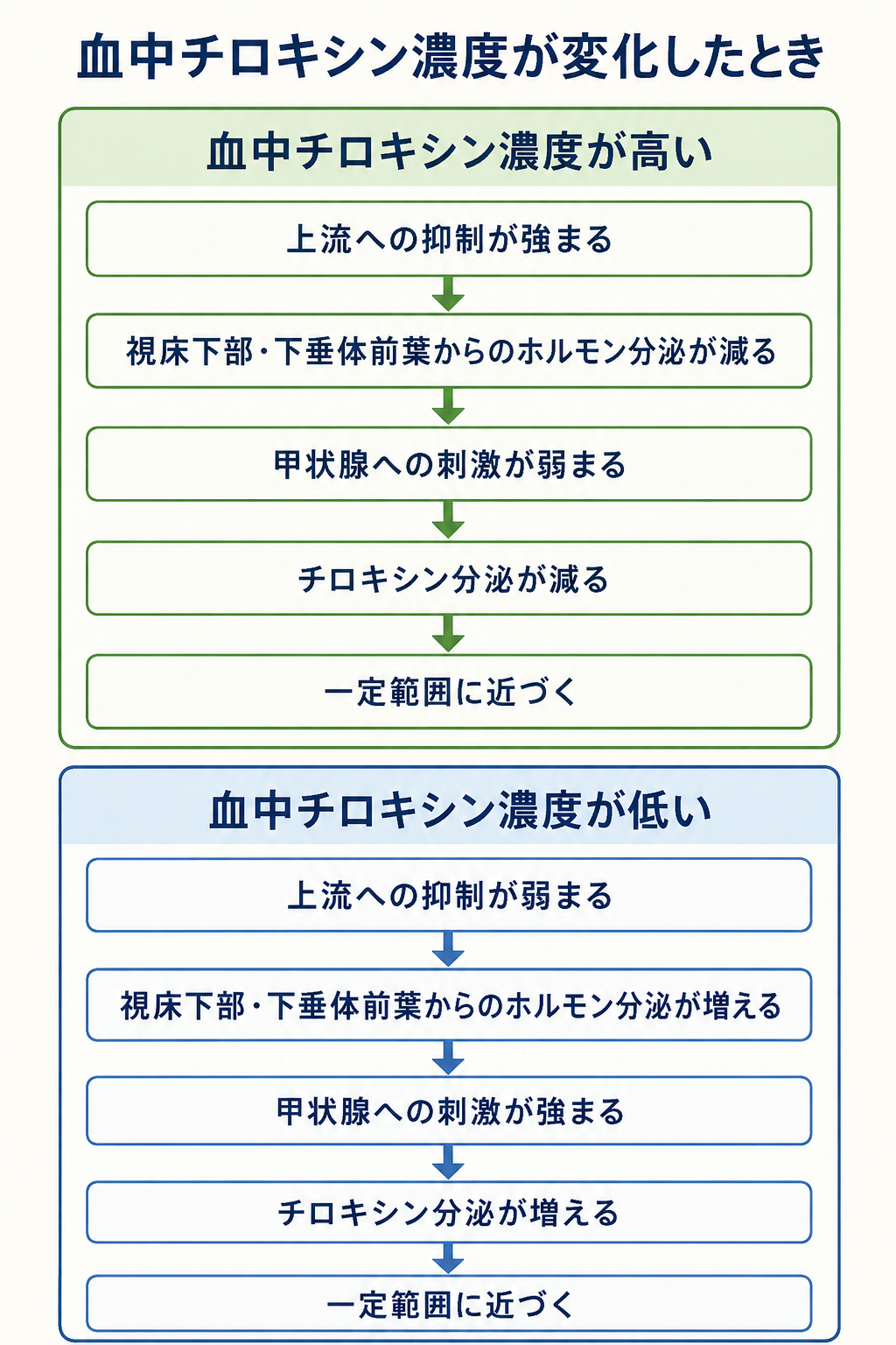血中チロキシン濃度が高い場合は視床下部と下垂体前葉からのホルモン分泌が減り、低い場合は両者からのホルモン分泌が増え、一定範囲へ近づくことを上下に比較した図
