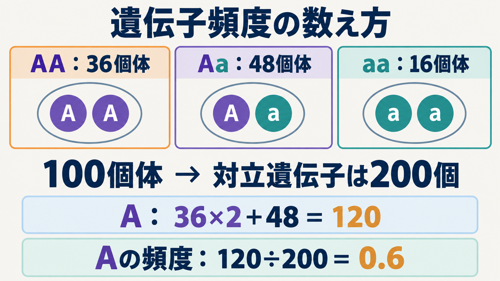 AAが36個体、Aaが48個体、aaが16個体の集団で、Aの頻度を数える例。対象は二倍体の常染色体上の1遺伝子座。