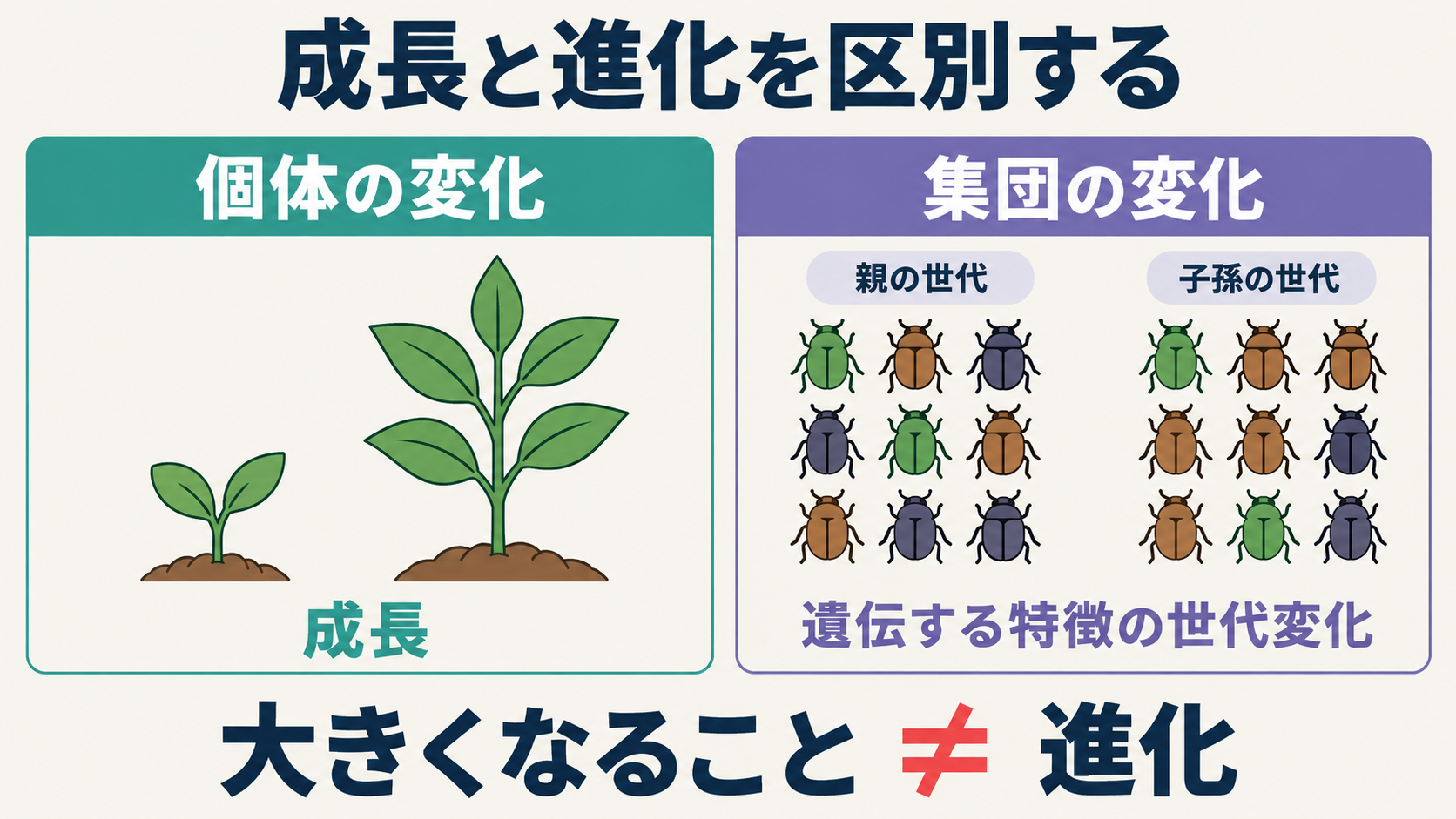 個体の成長と、遺伝する特徴の割合が世代を通じて変化する進化との比較。