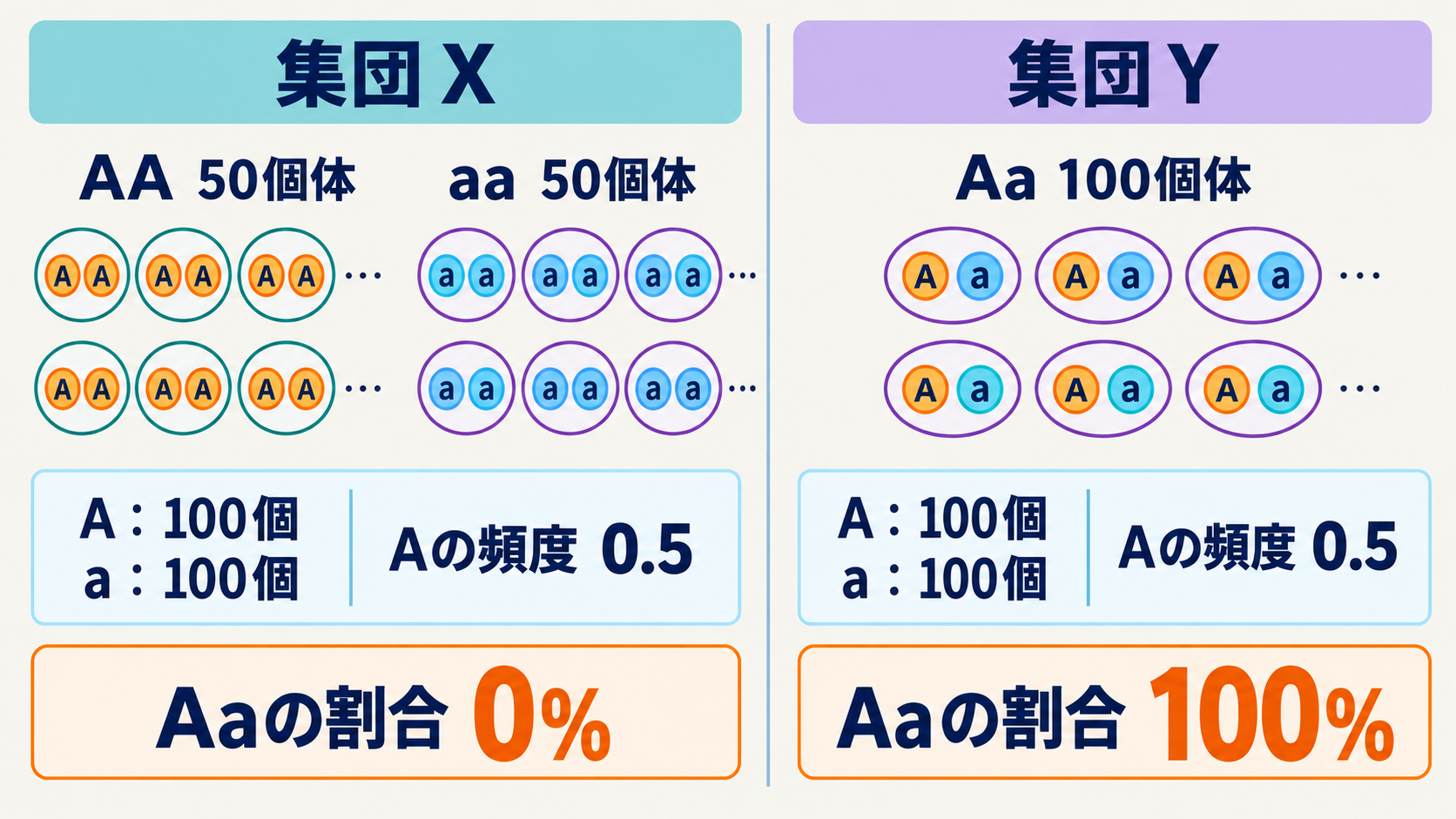 Aとaの頻度がそれぞれ0.5でも、AA・aaからなる集団Xと、Aaだけの集団Yでは遺伝子型の構成が異なる。個体の記号は一部を省略している。