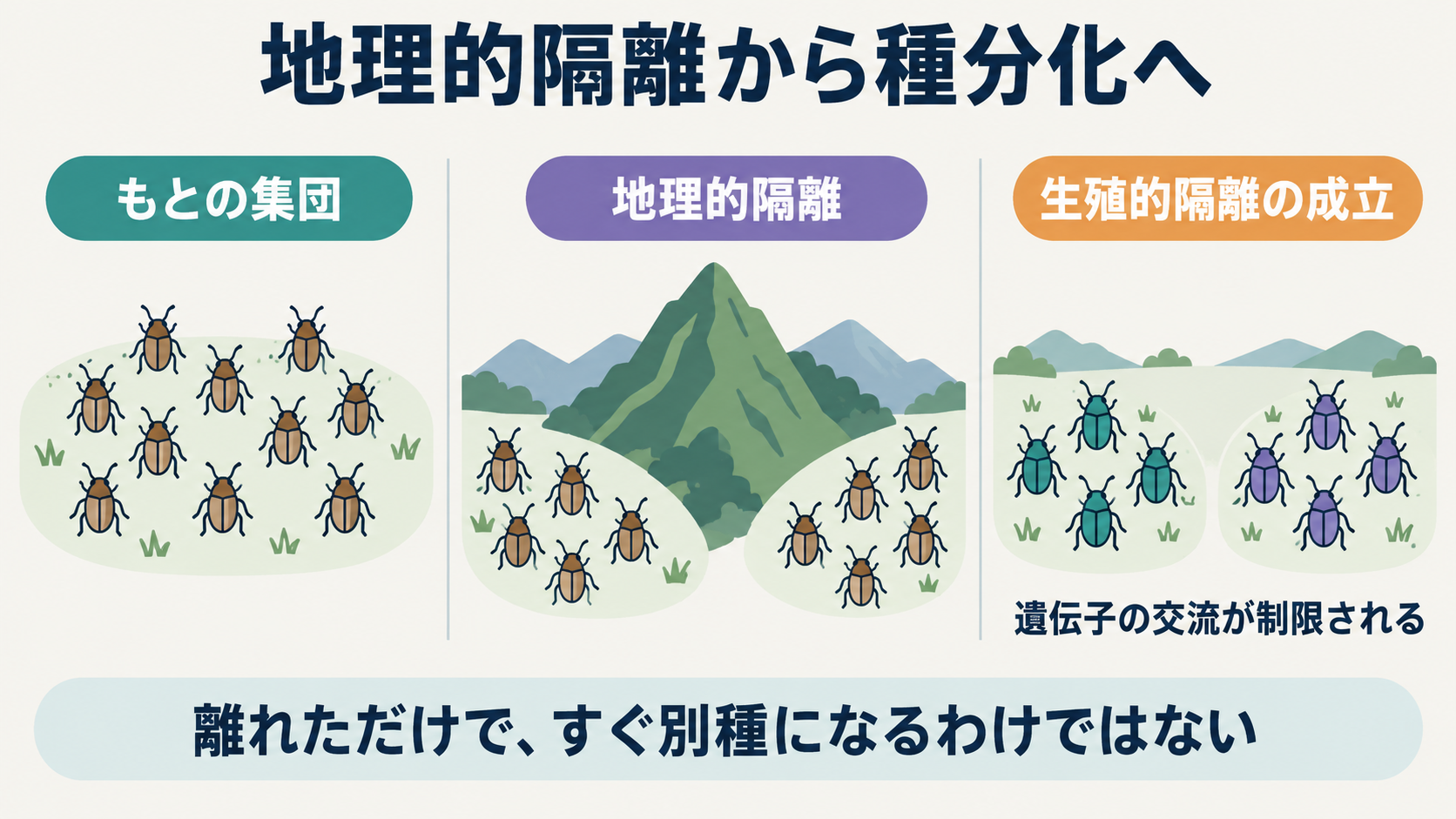 地理的に分かれた集団が別々に変化し、生殖的隔離が成立する異所的種分化の模式図。体色は集団の違いの記号であり、色が違うだけで別種とは判断しない。