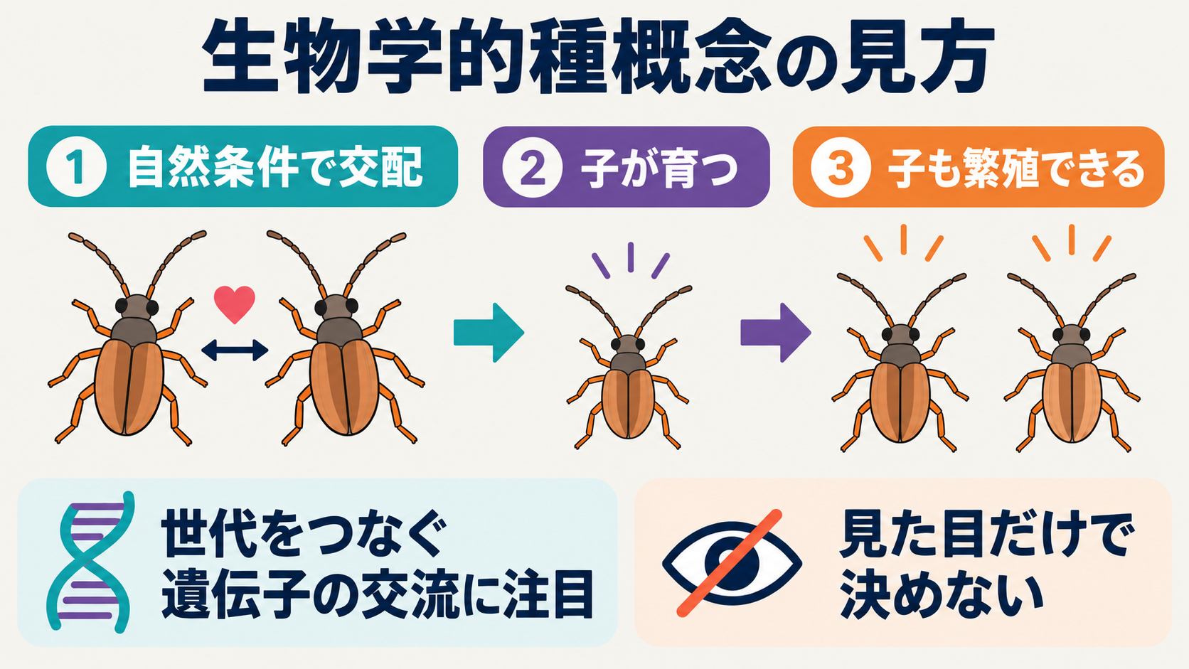 生物学的種概念では、自然条件での交配と、子孫が繁殖して世代をつなぐことに着目する。架空の昆虫の模式例。