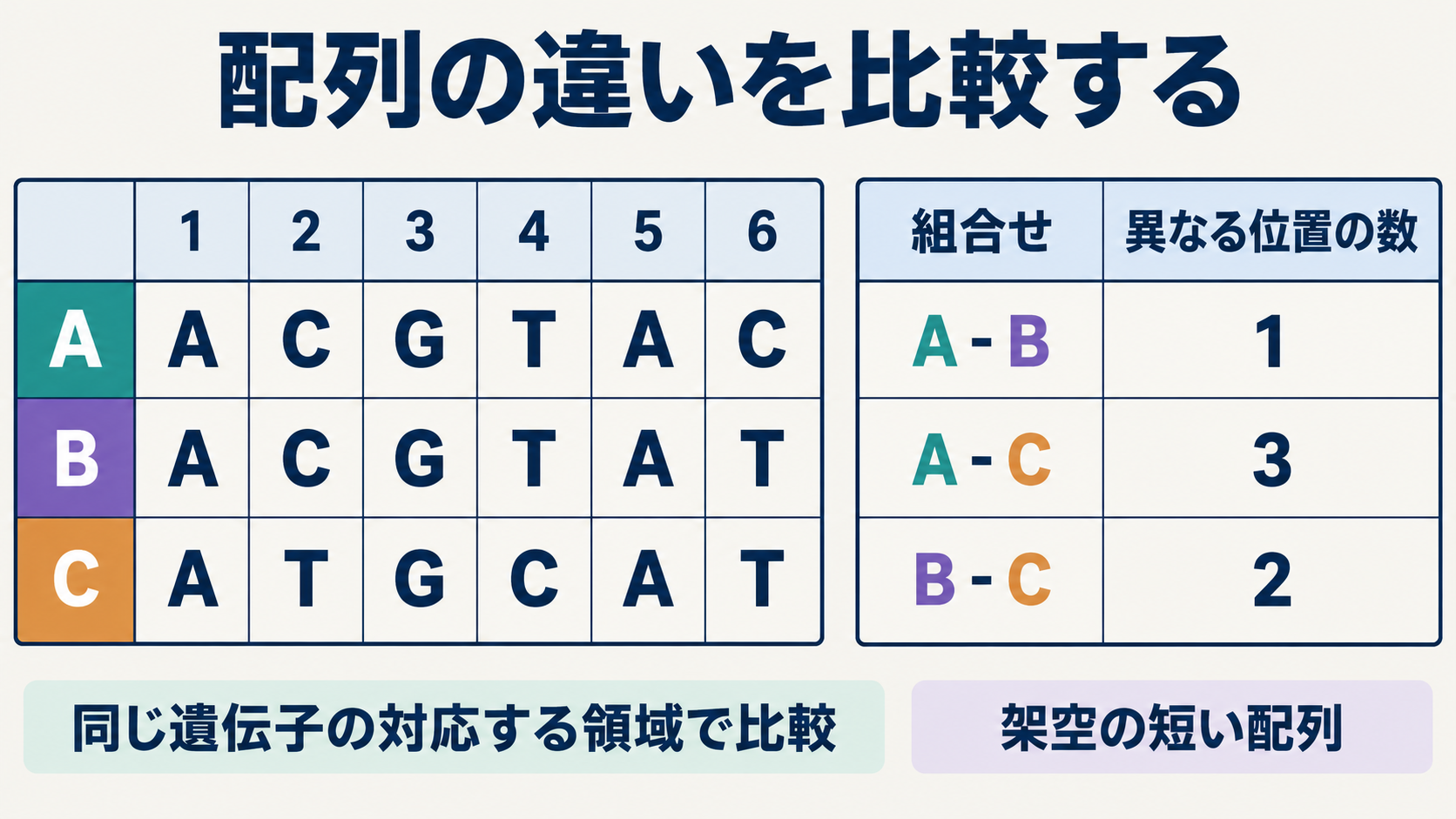 3種の対応するDNA領域を比較した架空の短い配列。種の名前A・B・Cと、塩基の略号A・C・G・Tを区別して読む。