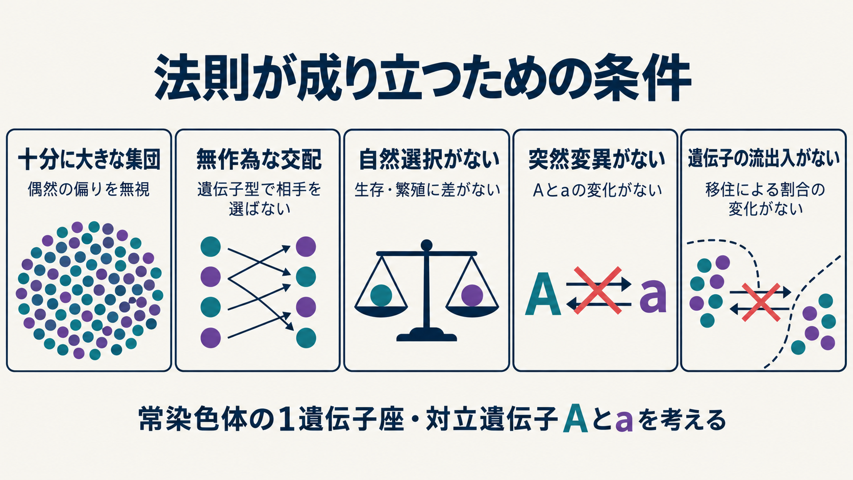 ハーディ・ワインベルグの法則で考える5つの条件。十分に大きな集団、無作為な交配、自然選択・突然変異・遺伝子の流出入がないこと。各アイコンは条件の模式的な表現。
