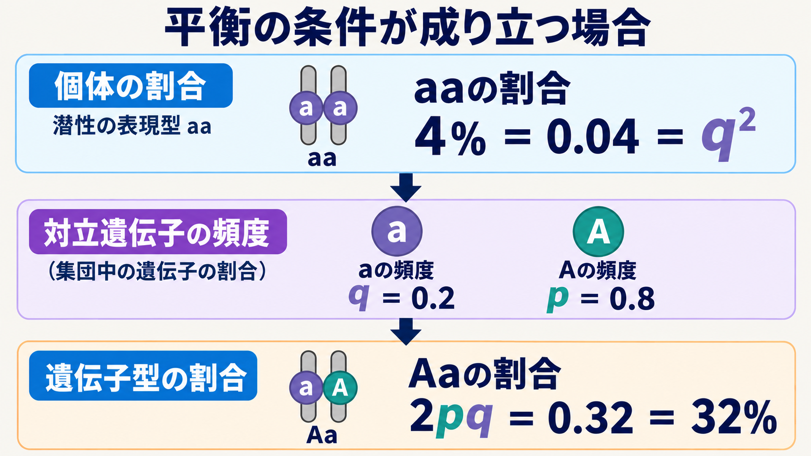 平衡の条件が成り立ち、aaだけが潜性の表現型を示す場合の逆算例。aaの割合4%をq²と置き、q、p、Aaの割合の順に求める。